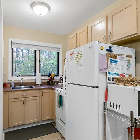 Dog-Friendly Dual Homes In The Woods With Lake Access